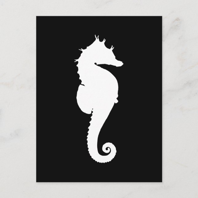 Black and White Seahorse Postcard (Front)