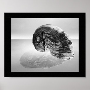 Black and White Seashell Tropical Printable Art Poster