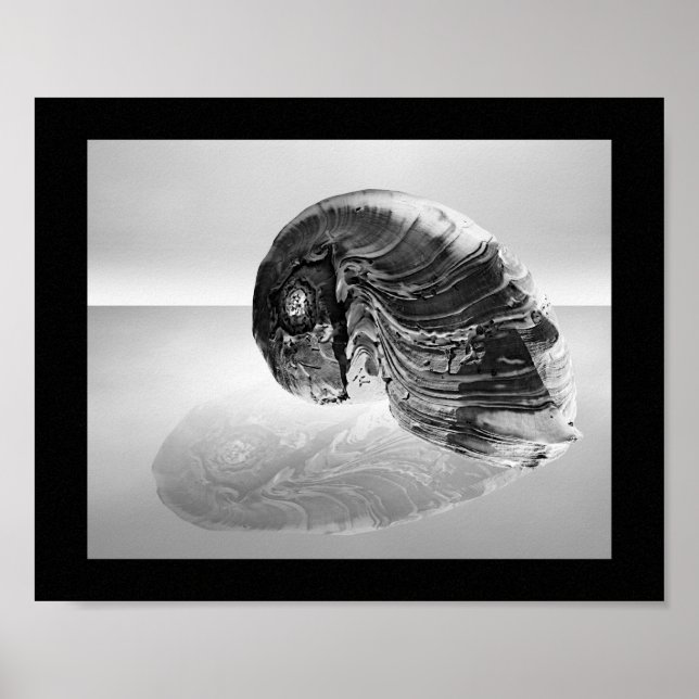 Black and White Seashell Tropical Printable Art Poster (Front)