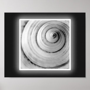 Black and White Seashell Tropical Printable Art  Poster