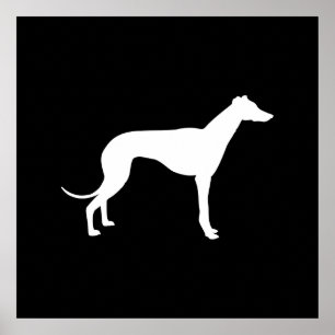 Black and White Shape of Greyhound Poster