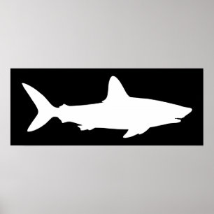 Black and White Shark Poster