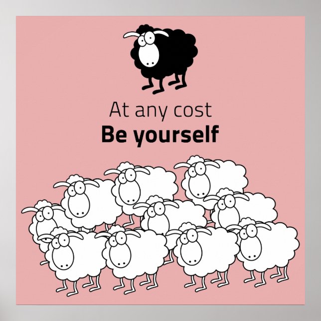 Black and white sheep poster (Front)