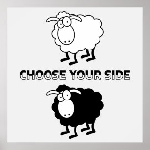 Black and white sheep poster