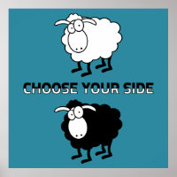 Black and white sheep