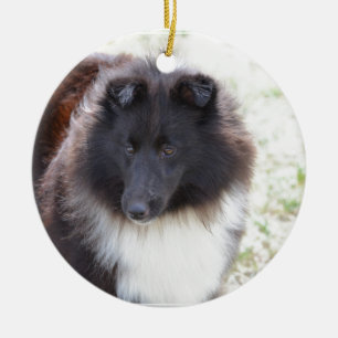 Black and White Sheltie Ceramic Ornament