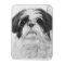 Black and White Shih Tzu Art
