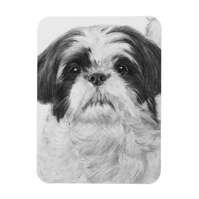 Black and White Shih Tzu Art Magnet (Vertical)