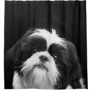 Black and White Shih Tzu Dog Shower Curtain