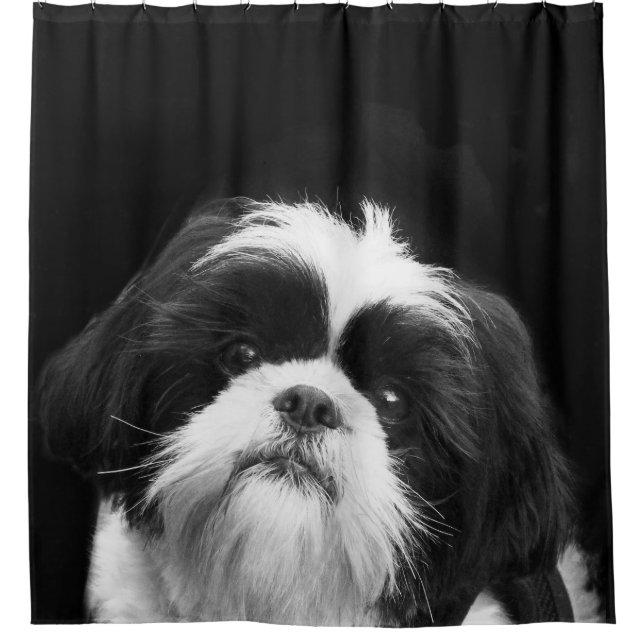 Black and White Shih Tzu Dog Shower Curtain (Front)