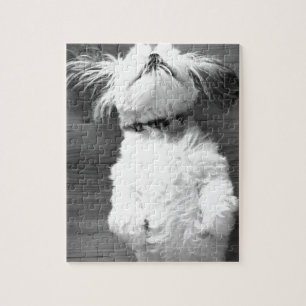 Black and White Shih-Tzu Puppy Jigsaw Puzzle