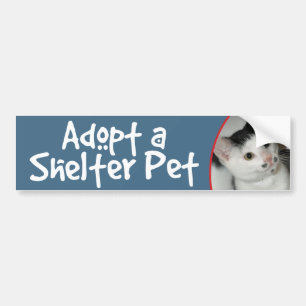 Black and White Shorthair Cat Bumper Sticker/Decal Sticker