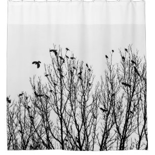 Black and White Shower Curtain, Bird, Trees Photo Curtain