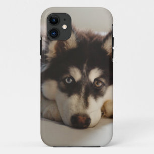 Black and white siberian husky iPhone 11 case