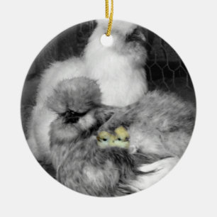 Black and White Silkie Chickens with yellow Chicks Ceramic Ornament