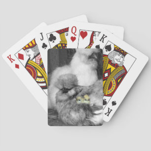 Black and White Silkie Chickens with yellow Chicks Playing Cards