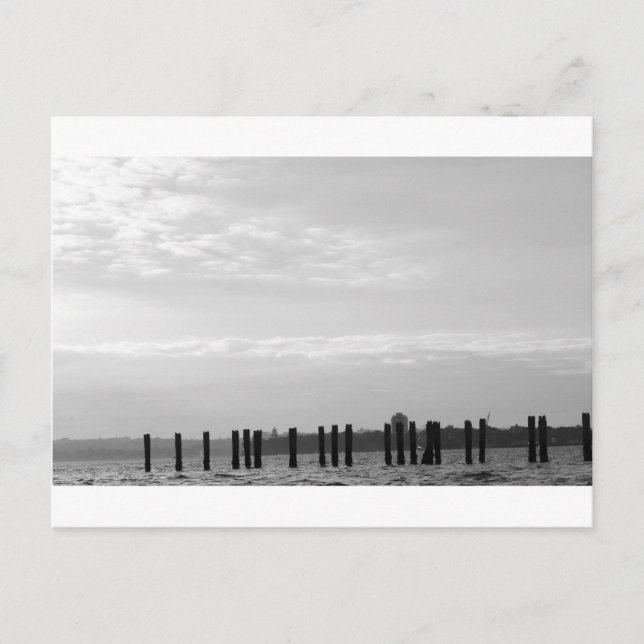 Black and White Sky Posts Postcard (Front)