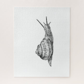 Black and white snail drawing puzzle