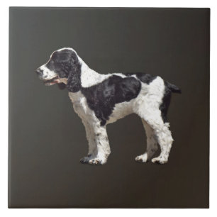 Black and White Spaniel Ceramic Tile