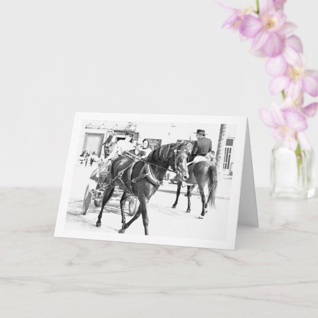 Black and White Spanish Horses Portrait Card (Orchid)