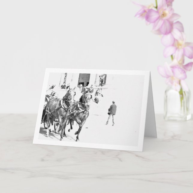 Black and White Spanish Horses Portrait Card (Orchid)
