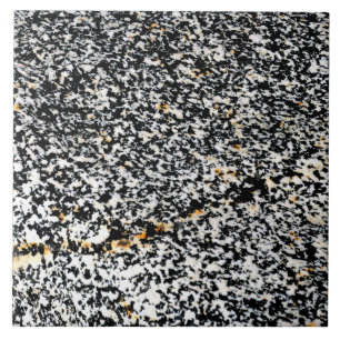 Black and White Speckled Rock Photo Ceramic Tile