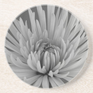 Black and White Spider Mum Beverage Coaster