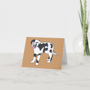 Black and White Spotted Dog Note Cards