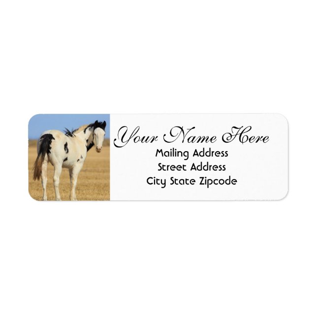 Black and White Spotted Horse Return Address Label (Front)