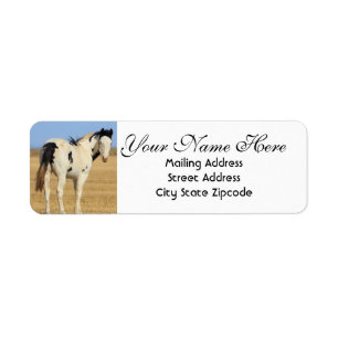 Black and White Spotted Horse Return Address Return Address Label