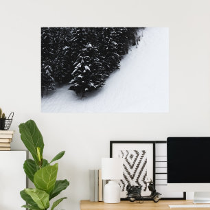 Black and white spruce forest and snow poster
