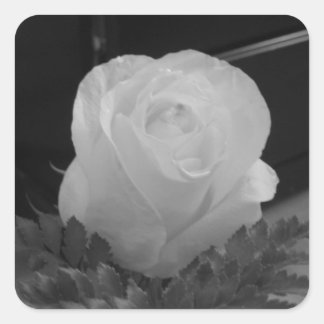 Black and White Square Sticker