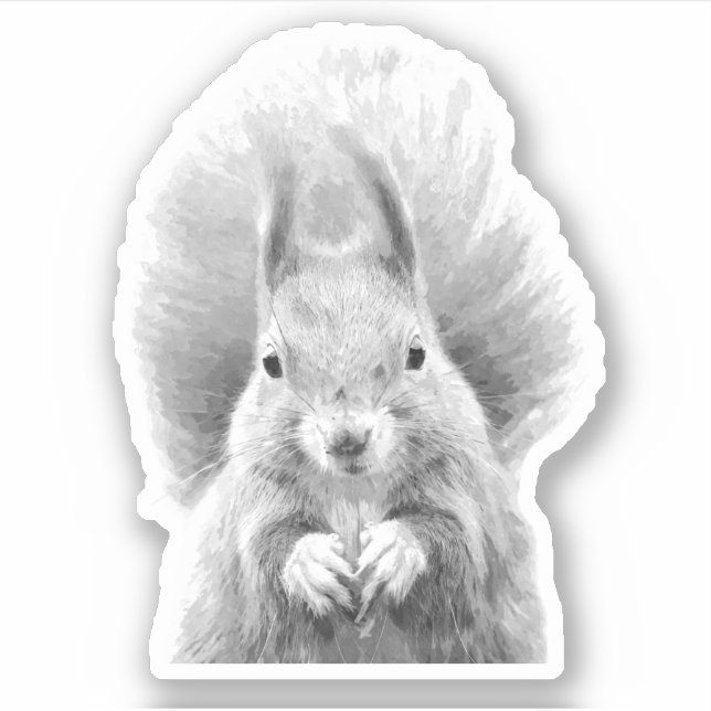 Black and White Squirrel (Front)