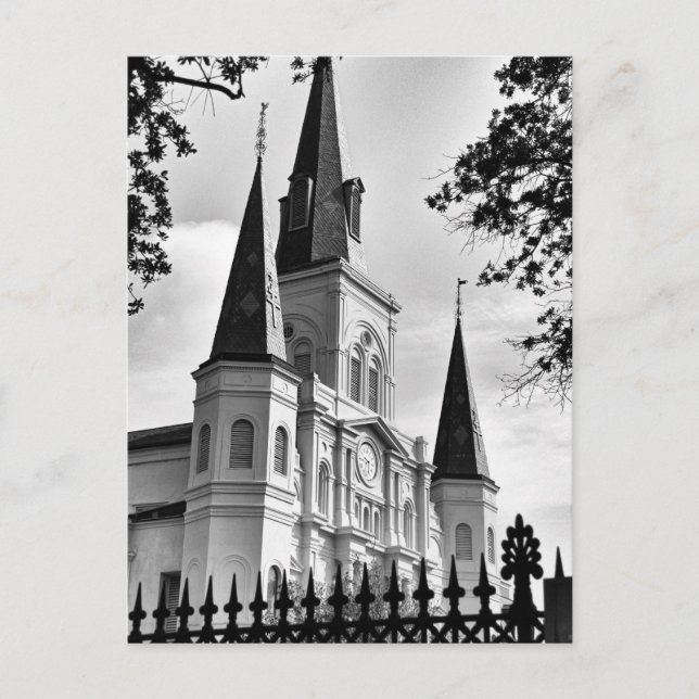 Black and White St. Louis Cathedral New Orleans Postcard (Front)