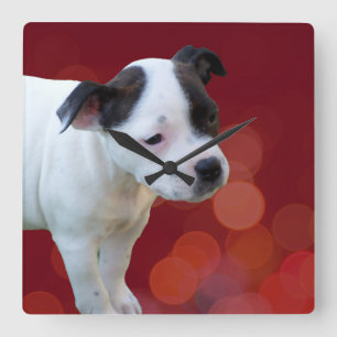 Black And White Staffordshire Puppy, Square Wall Clock
