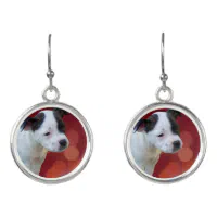 Staffy earrings outlet