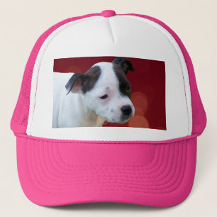 Black And White Staffy Puppy, Trucker Hat