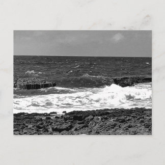 Black and White Standard Postcard Mailing Cards 