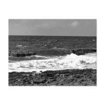 Black and White Standard Postcard Mailing Cards 