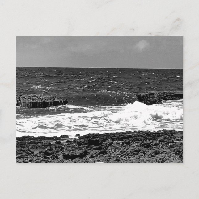 Black and White Standard Postcard Mailing Cards  (Front)