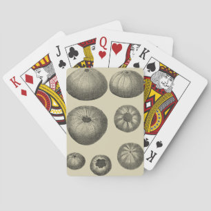 Black and White Starfish Playing Cards