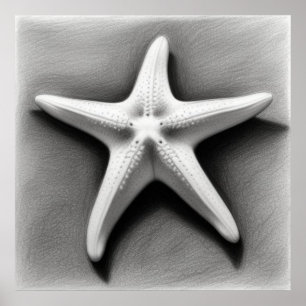 Black and White Starfish Poster