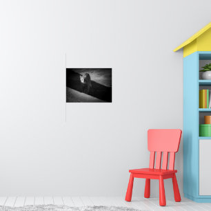 Black and White Street Cat Photography Poster