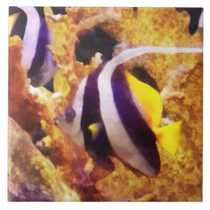 Black and White Striped Angelfish Ceramic Tile