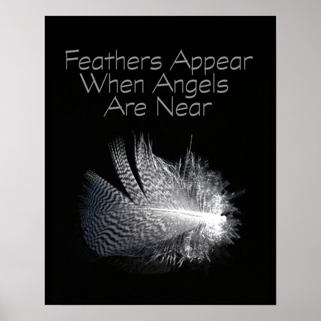 Black and White Striped Feather Floating on a Pond Poster (Front)