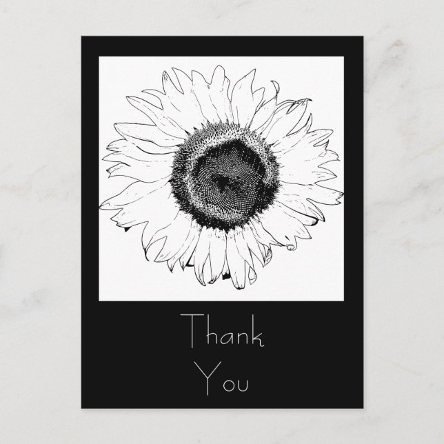 Black and White Sunflower Thank You Postcard (Front)