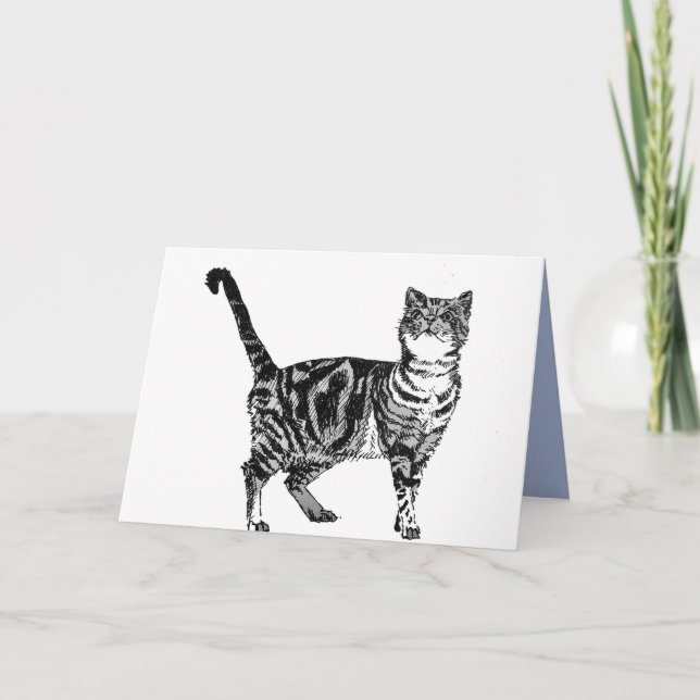 Black and White Tabby Cat Birthday Card (Front)