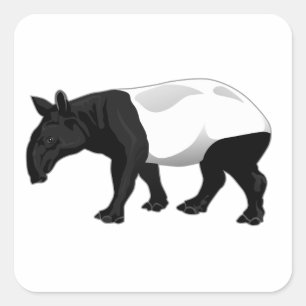 Black and White Tapir Square Sticker