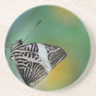 Black and White Tiger Butterfly Coaster