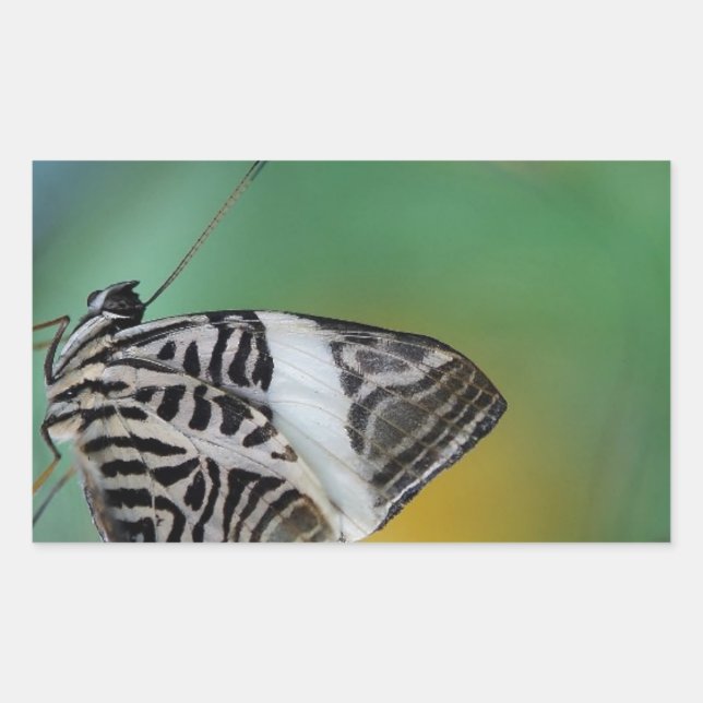 Black and White Tiger Butterfly Rectangular Sticker (Front)
